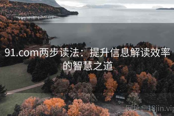 91.com两步读法：提升信息解读效率的智慧之道