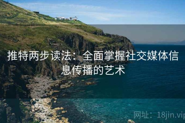 推特两步读法：全面掌握社交媒体信息传播的艺术
